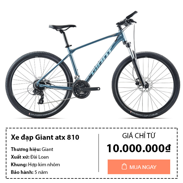xe đạp địa hình giant atx 810