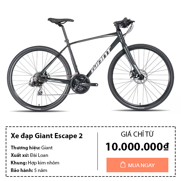 Thông tin mua xe đạp thể thao giant escape 2