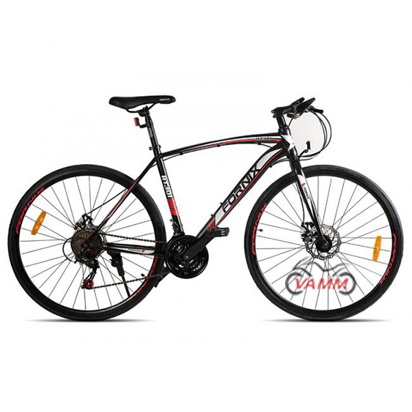 xe đạp fornix bt301 màu đen đỏ