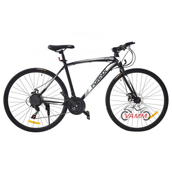 xe đạp fornix bt301 màu đen trắng