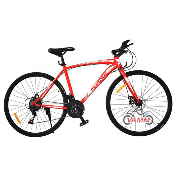 xe đạp fornix bt301 màu đỏ