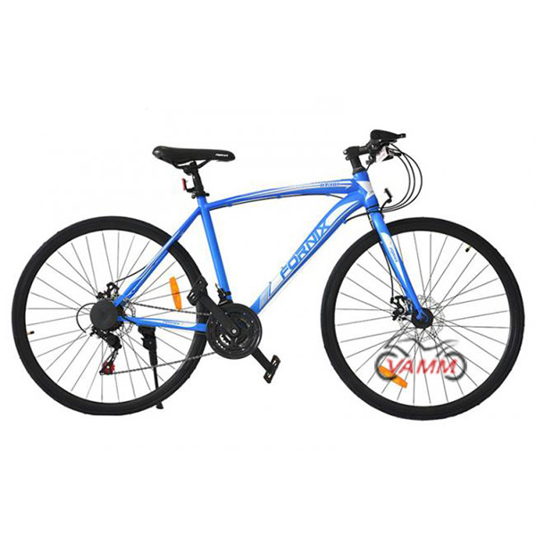 xe đạp fornix bt301 màu xanh dương