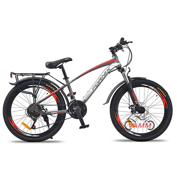 xe đạp fornix ft24 màu trắng đỏ