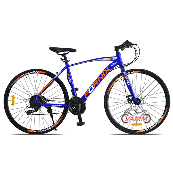 xe đạp fornix r305 màu xanh
